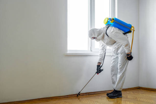 Best Pest Control Near Me  in Stockbridge, MI