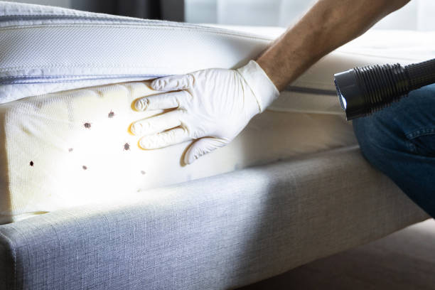 Best Insect Control  in Stockbridge, MI