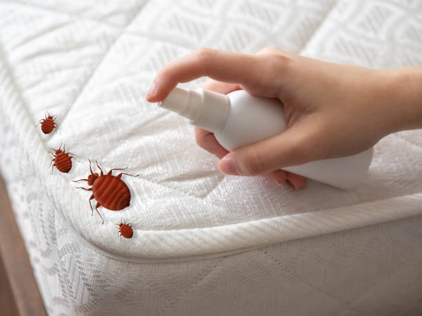 Best Local Pest Control Services  in Stockbridge, MI