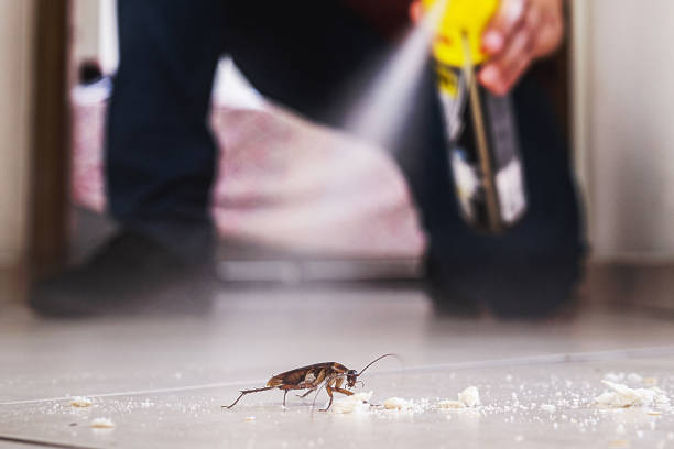 Best Best Pest Control Companies  in Stockbridge, MI